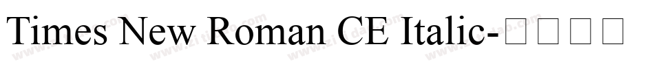 Times New Roman CE Italic字体转换